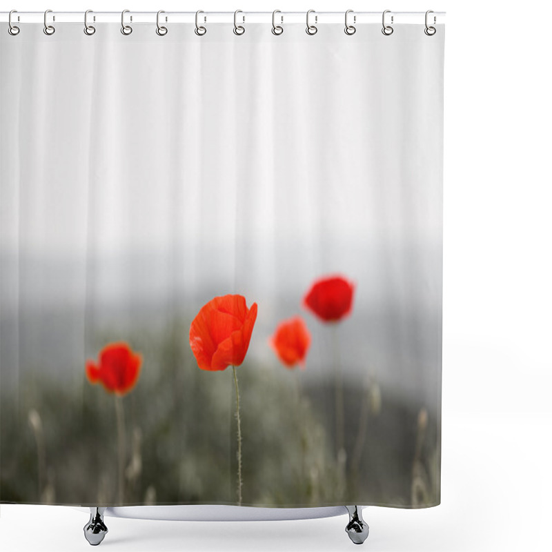 Personality  Red Poppies Shower Curtains