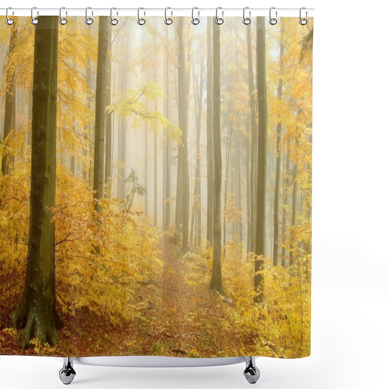 Personality  Autumn Beech Forest Shower Curtains