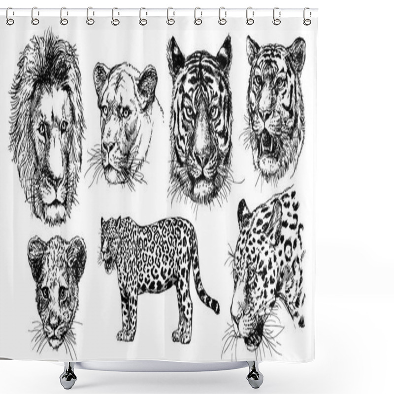 Personality  Vector Drawings Sketches Wild Predators , Tigers, Lions, Leopards. Shower Curtains