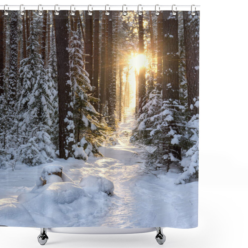 Personality  Forest Path To The Sun. Ural Mountains. Coniferous Forest. Winter Landscape. Russia Shower Curtains