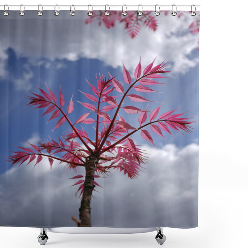 Personality  Toona Sinensis 'Flamingo' Shower Curtains