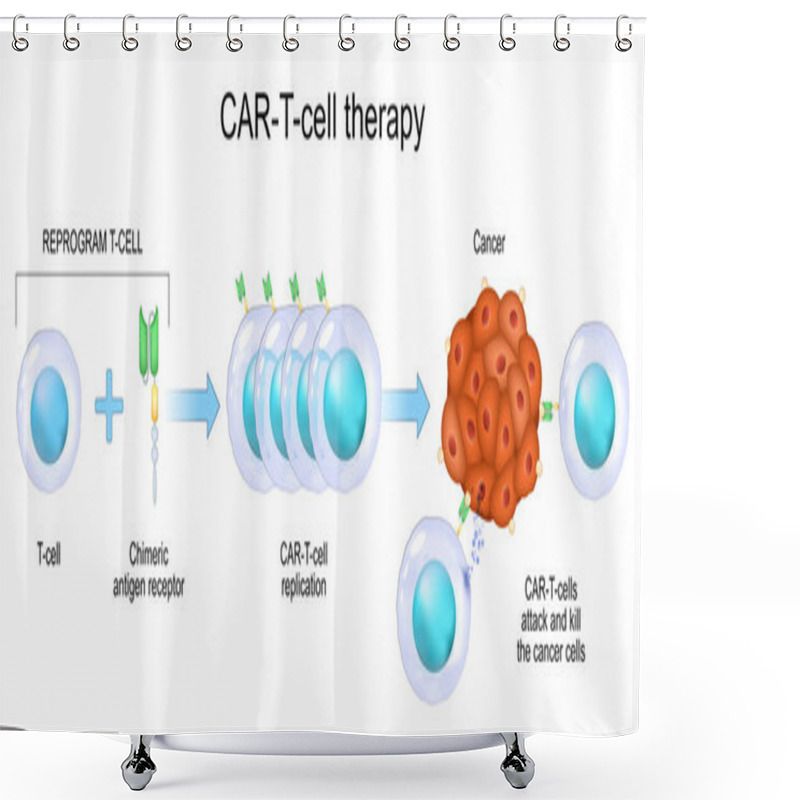 Personality  CAR T-cell Therapy. Cancer Immunotherapy. Killing Of Tumor Cells. Genetically Engineered. Personalized Medicine. Vector Illustration Shower Curtains