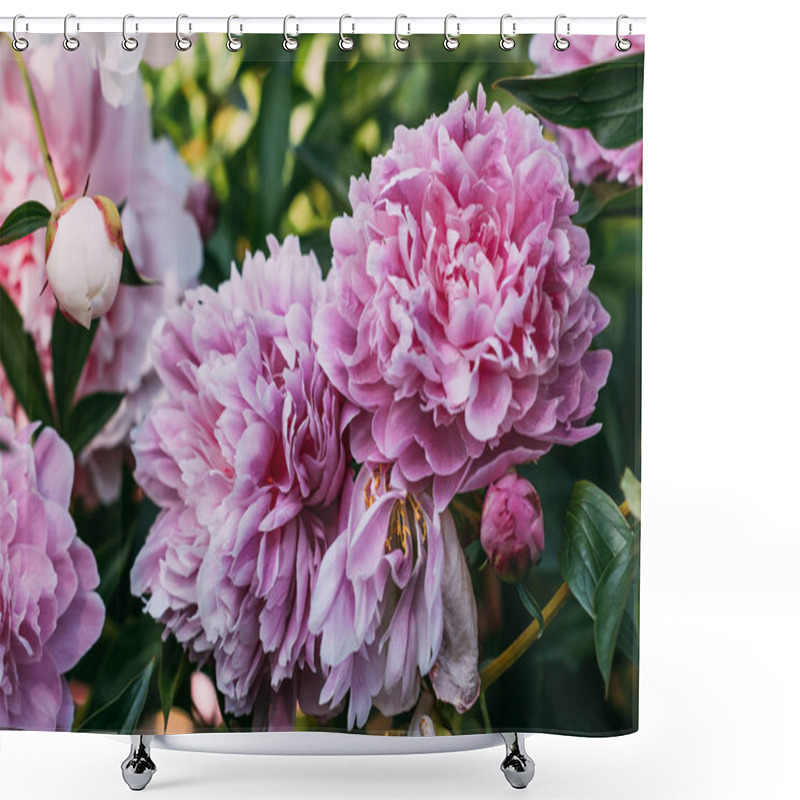 Personality  Close Up Of Pink Peony Flowers In Garden Shower Curtains