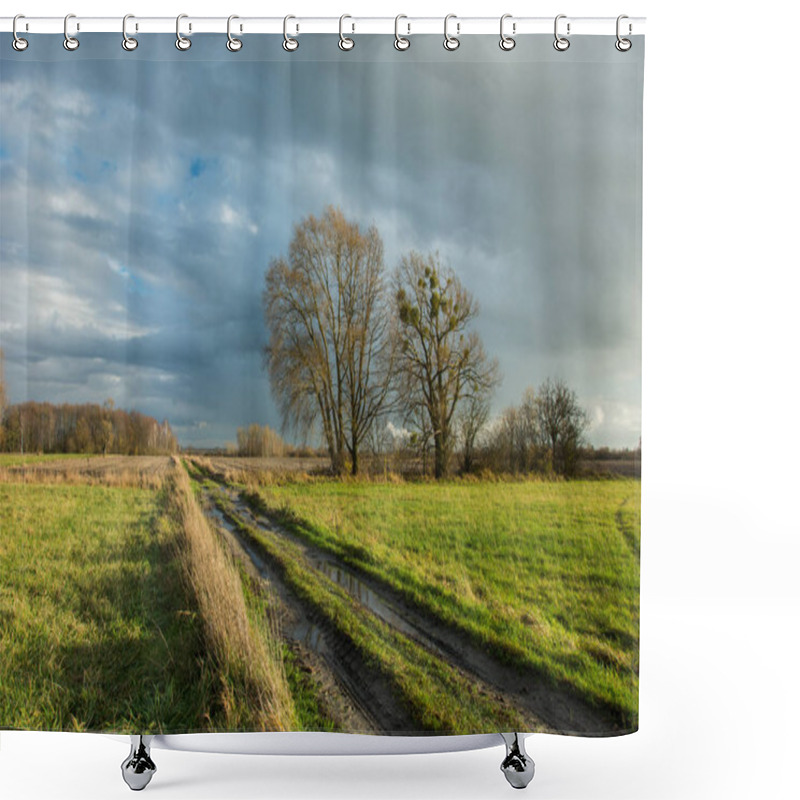 Personality  Traces Of Wheels And Puddles On A Dirt Road Through A Green Meadow, Large Trees Without Leaves And Rainy Clouds In The Sky Shower Curtains