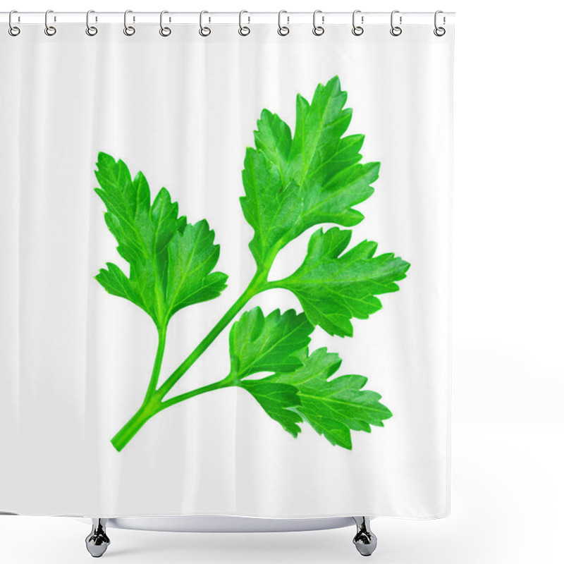 Personality  Parsley Isolated On A White Background. Fresh Green Vitamin Parsley Herb  Closeu Shower Curtains