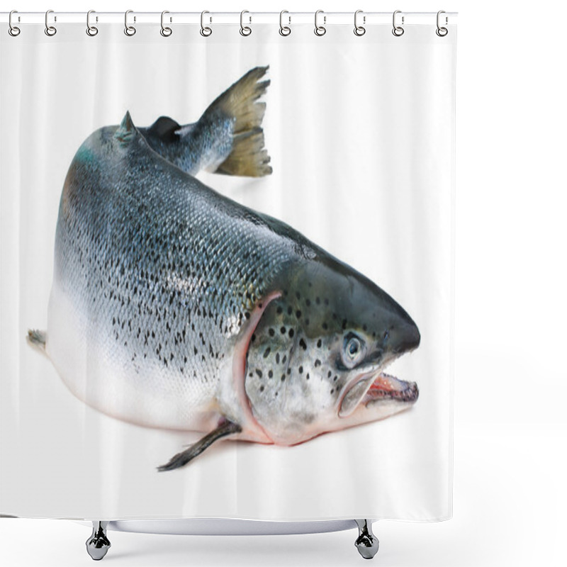 Personality  Atlantic Salmon Shower Curtains