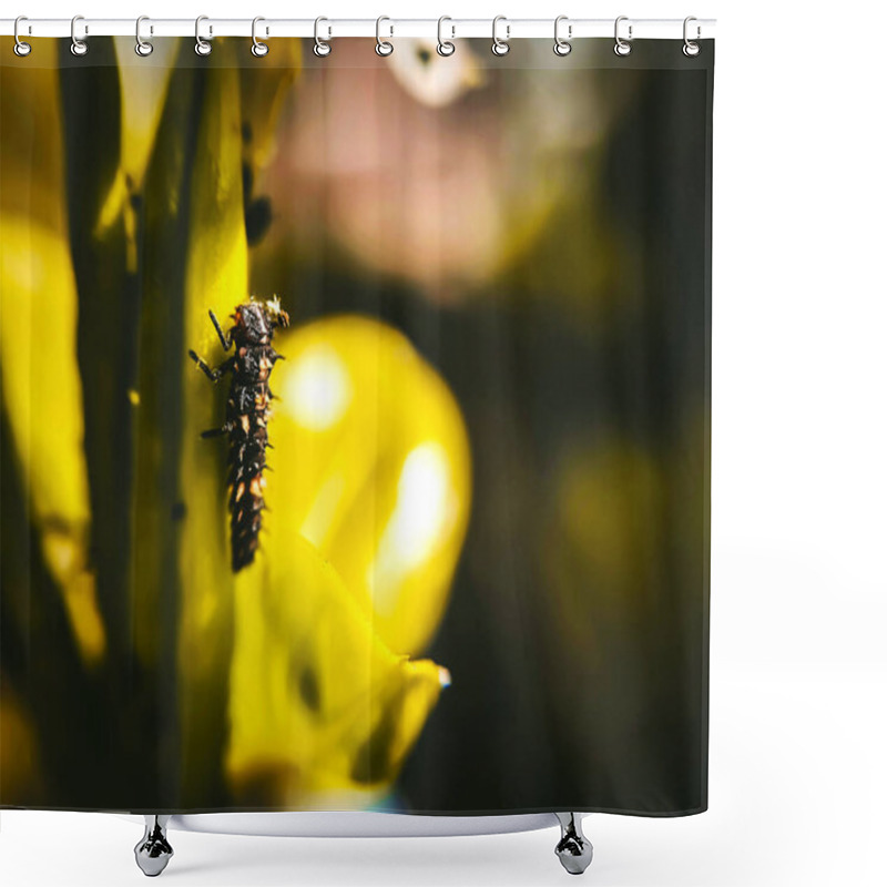 Personality  A Close-up Captures A Spiky Caterpillar On Vibrant Yellow Foliage, Highlighting Natures Intricate Beauty Amidst A Softly Blurred Background. Shower Curtains