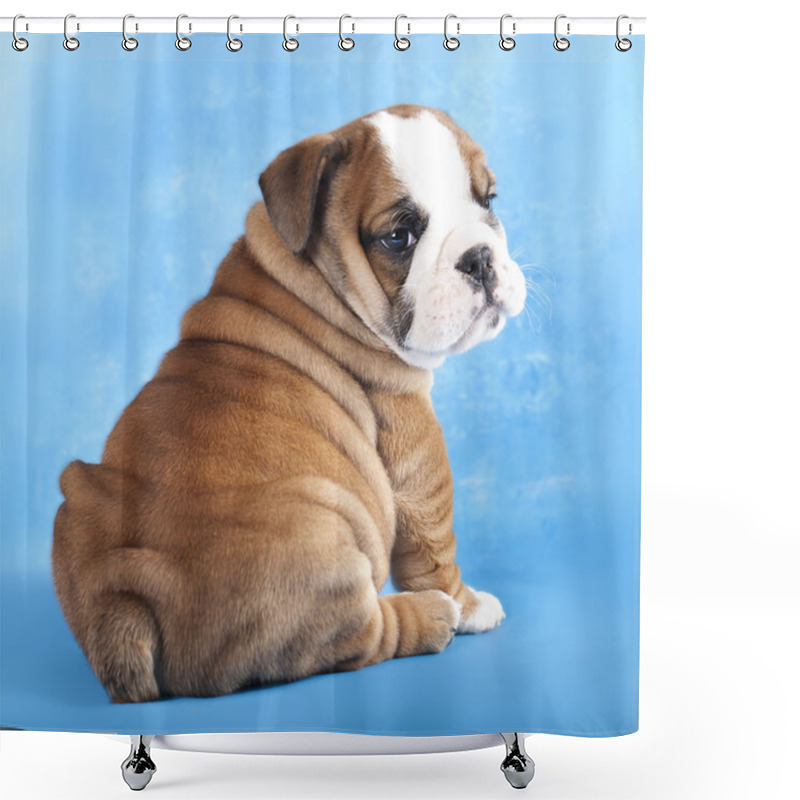 Personality  English Bulldog And Chess Shower Curtains