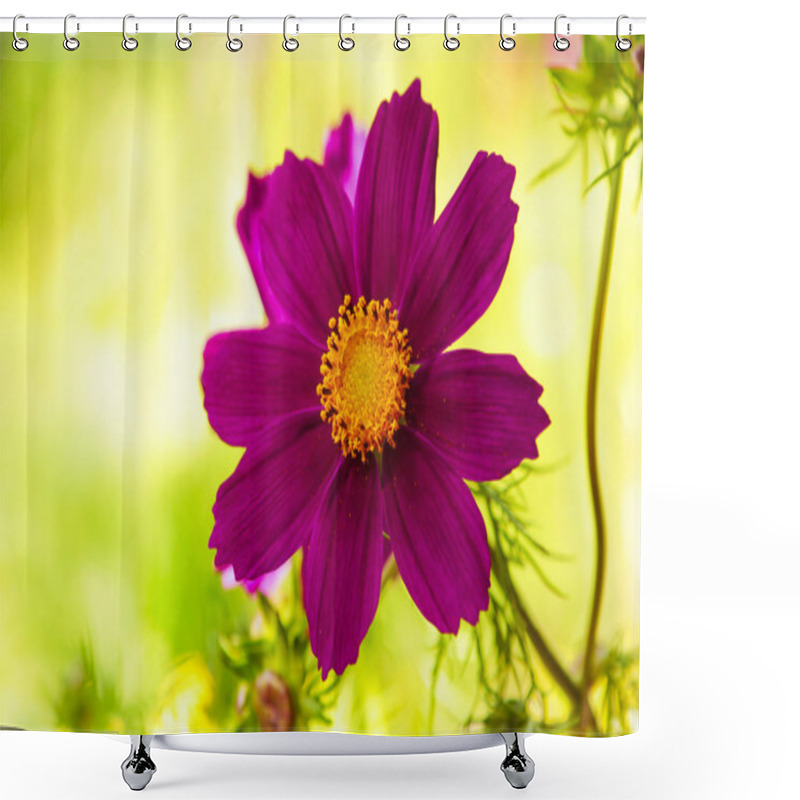 Personality  Decorative Flower Cosmos. Shower Curtains