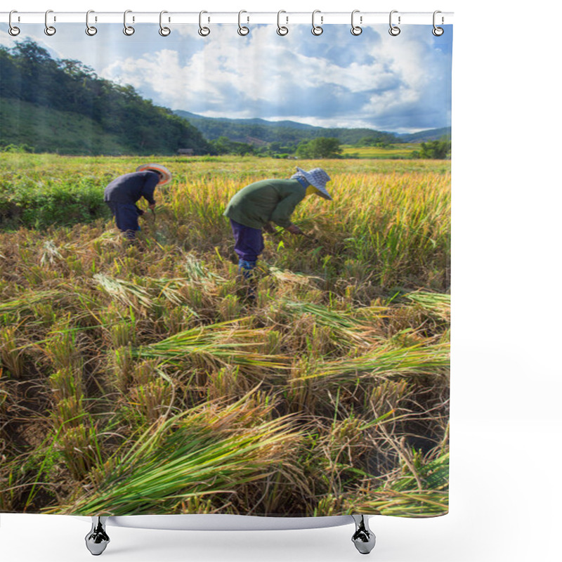 Personality  Farmers Harvest Their Crops Sharply During The Harvest Season In Shower Curtains