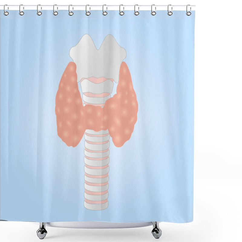 Personality  Illustration Of A Human Thyroid Gland Shower Curtains