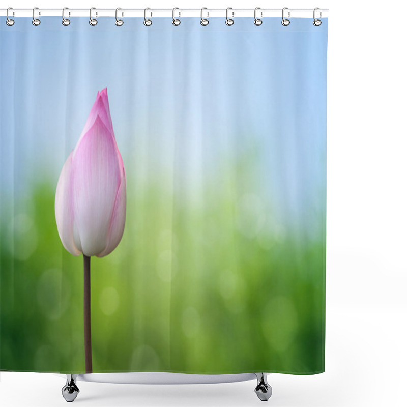 Personality  Pink Lotus On Spring Background Shower Curtains