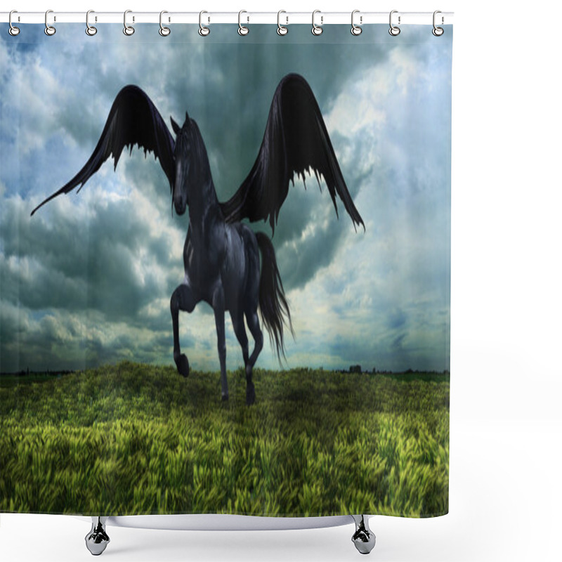 Personality  Fantasy Winged Horse Shower Curtains