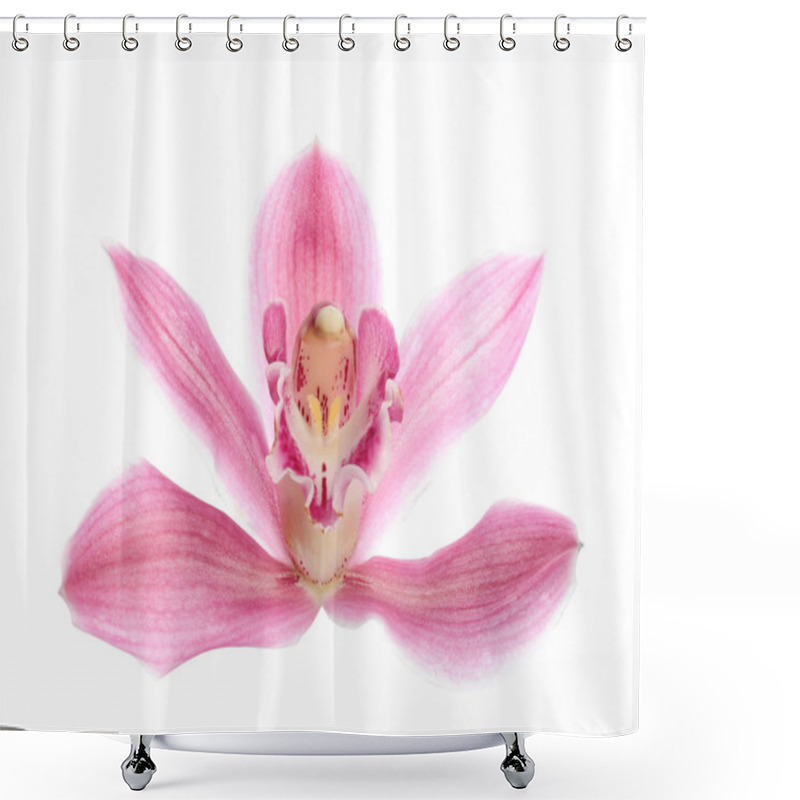 Personality  Beautiful Tropical Orchid Flower On White Background Shower Curtains