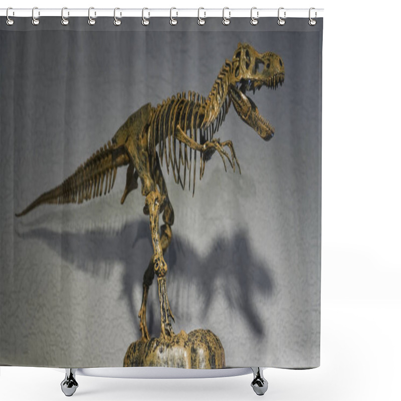 Personality  Tyrannosaurus Rex Dinosaur Skeleton  On Wall Background Shower Curtains