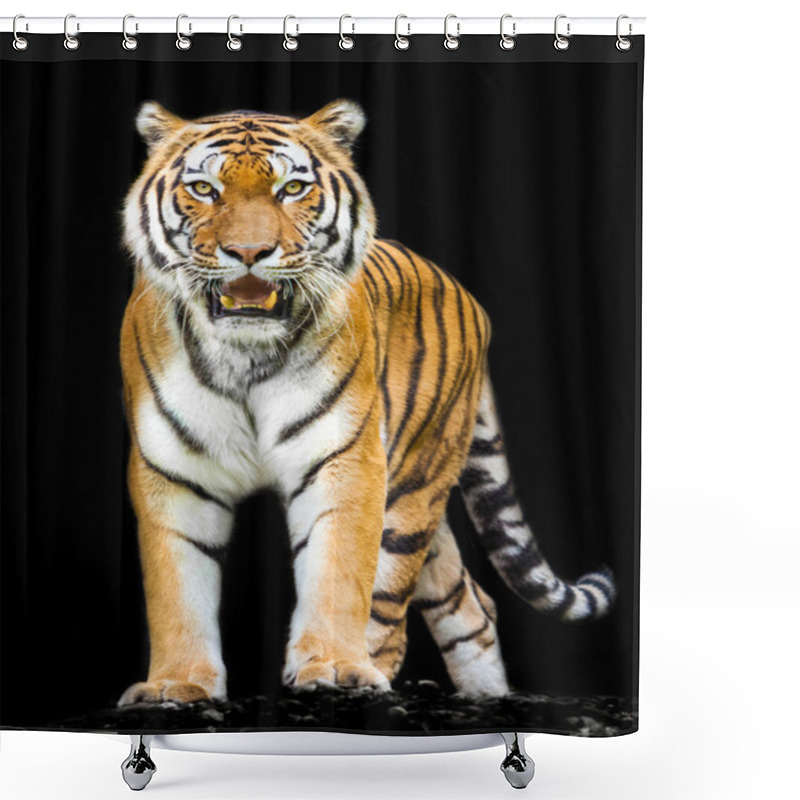 Personality   Tiger On Black Background Shower Curtains