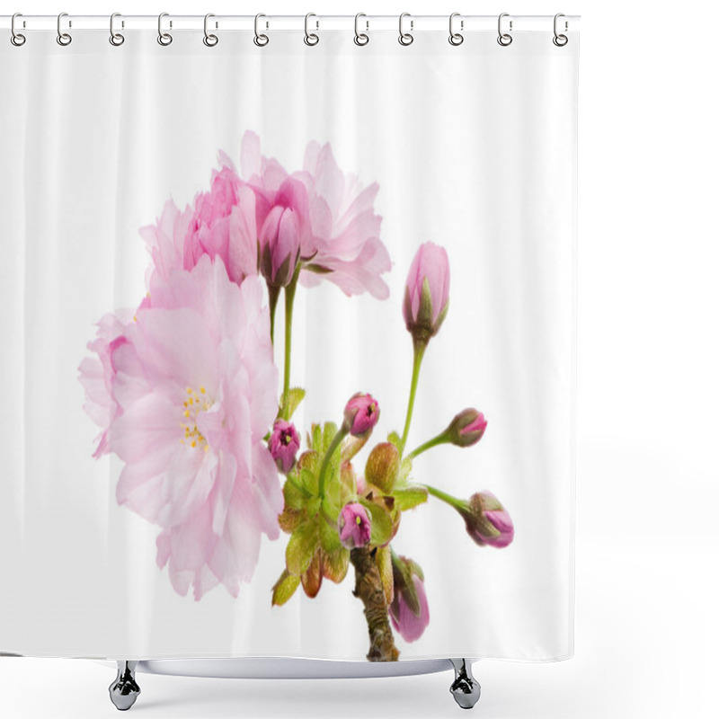 Personality  Isolated Twig With Pink Cherry Blossoms Shower Curtains