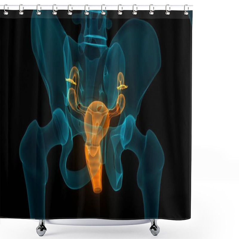 Personality  Female Reproductive System Anatomy. 3D Shower Curtains