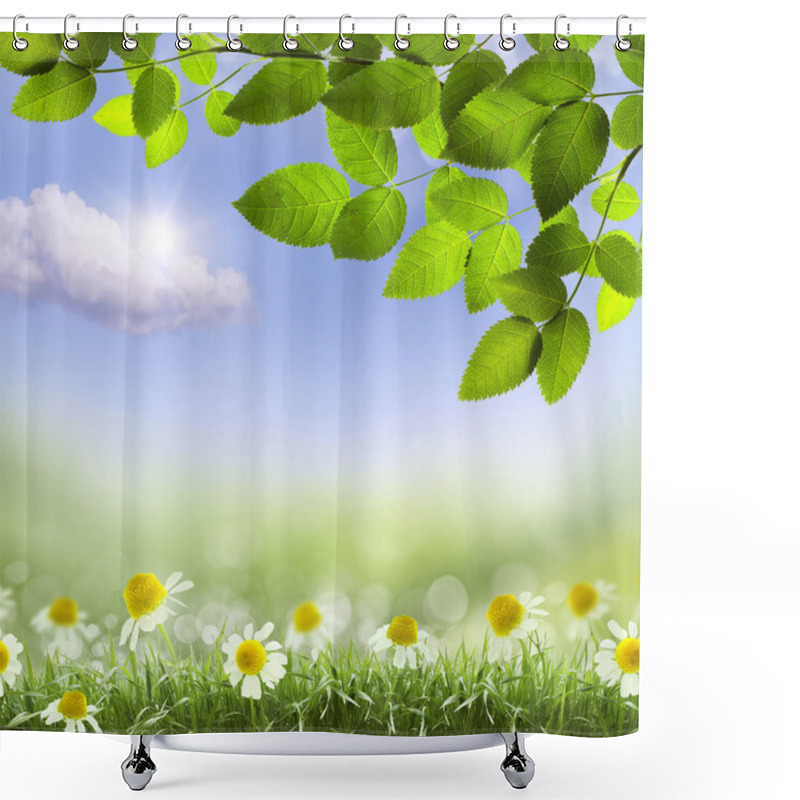 Personality  Chamomile Flower Shower Curtains