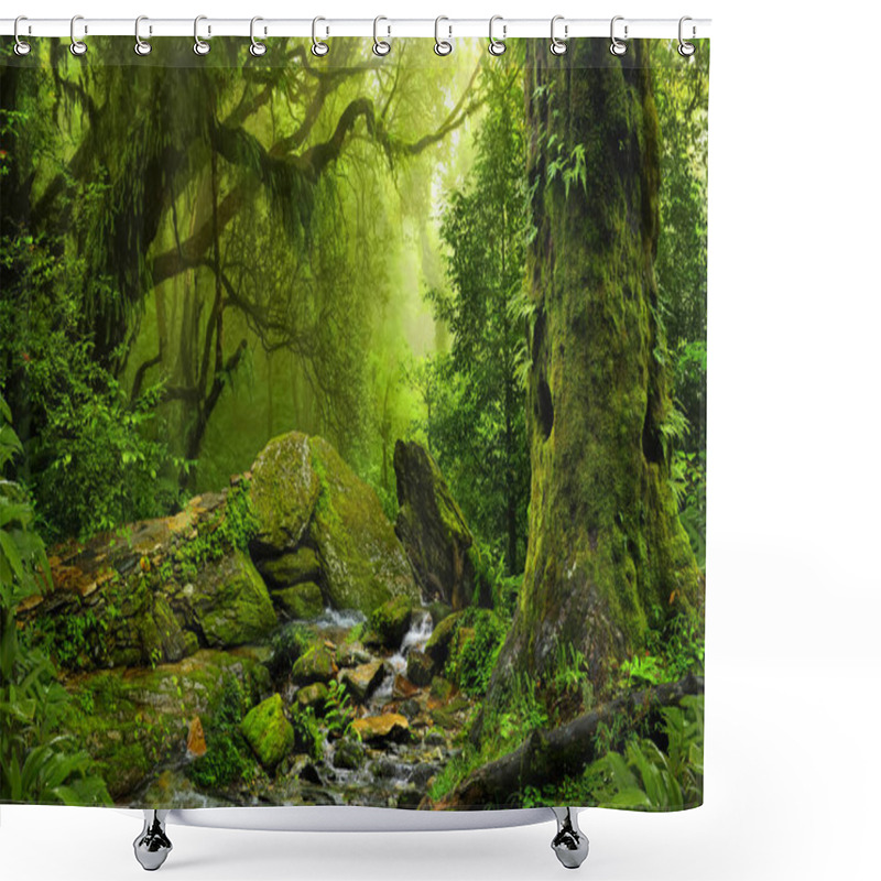 Personality  Deep Tropical Jungles Of Southeast Asia In August Shower Curtains