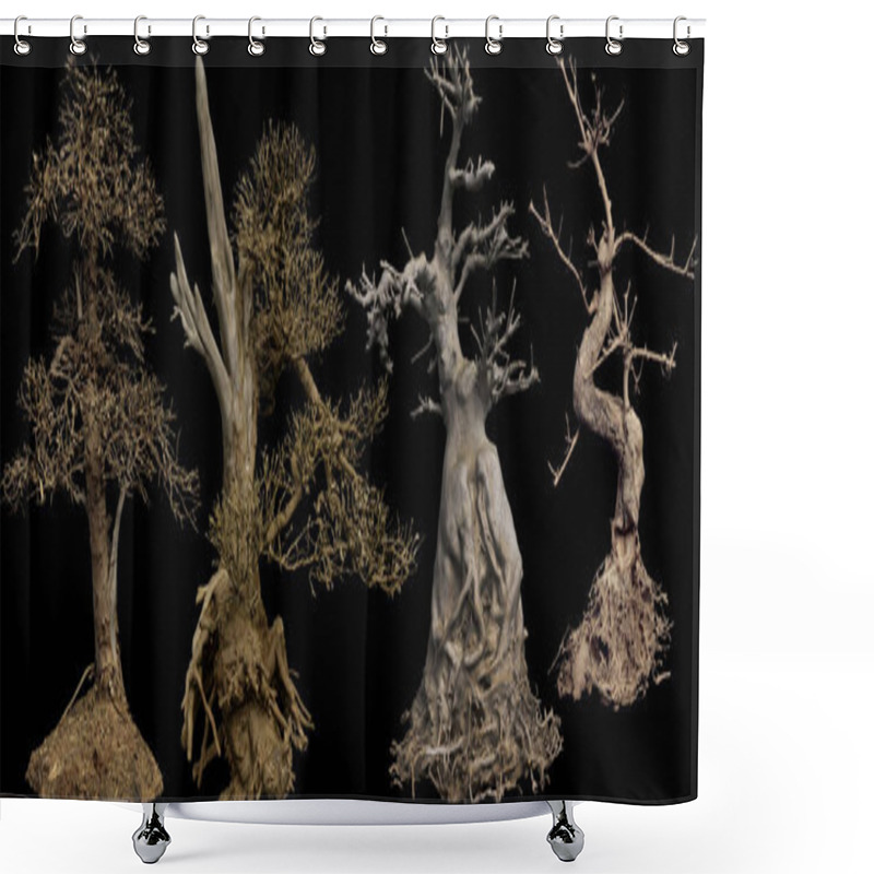 Personality  Bare Or Dead Trees, Bonsai Trees Shower Curtains