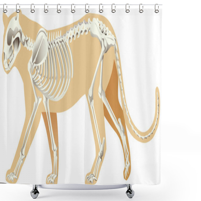 Personality  Skeleton Of Leopard On White Background Illustration Shower Curtains