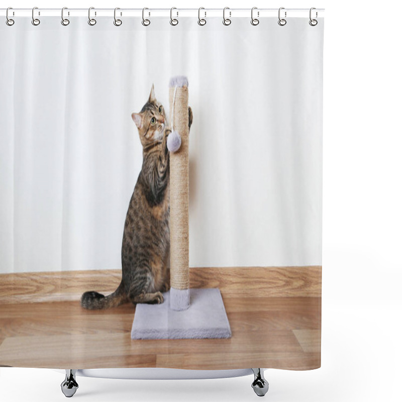 Personality   Cat With The Scratching Post Shower Curtains