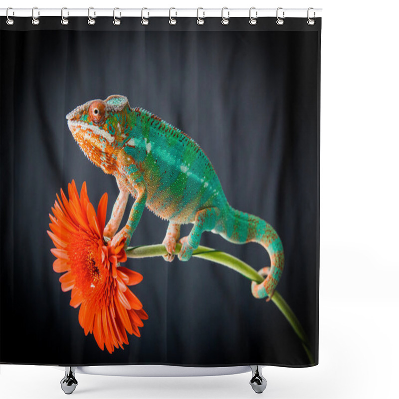 Personality  Panther Chameleon Sits On A Flower Shower Curtains