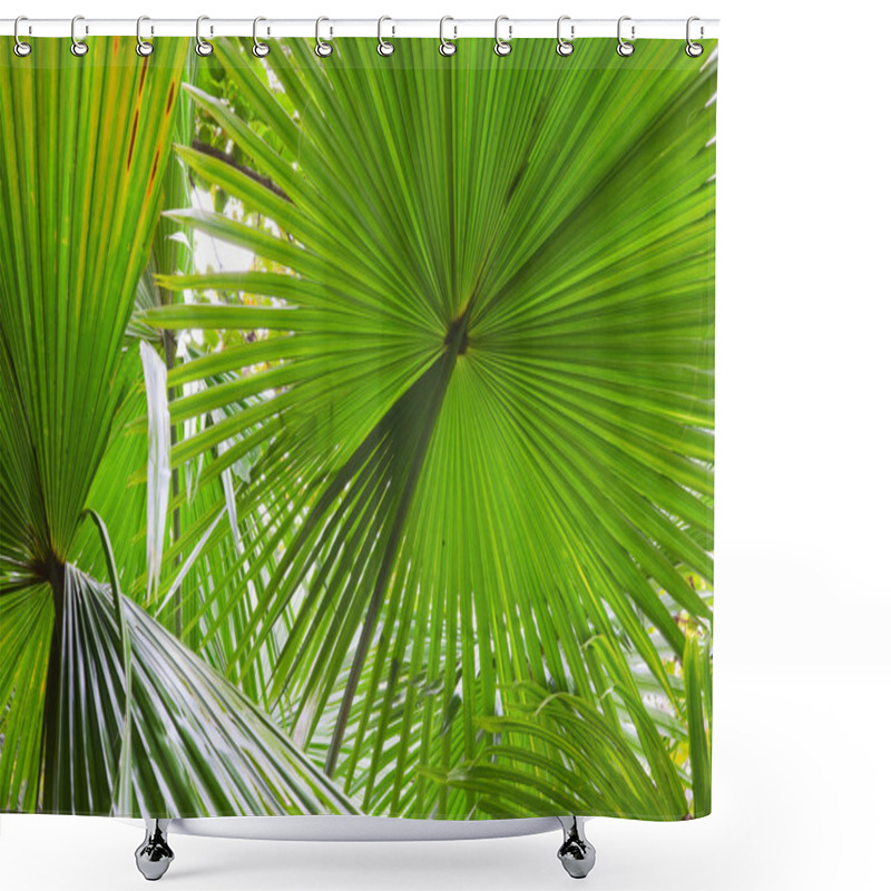 Personality  Palm Leaf Detail Shower Curtains