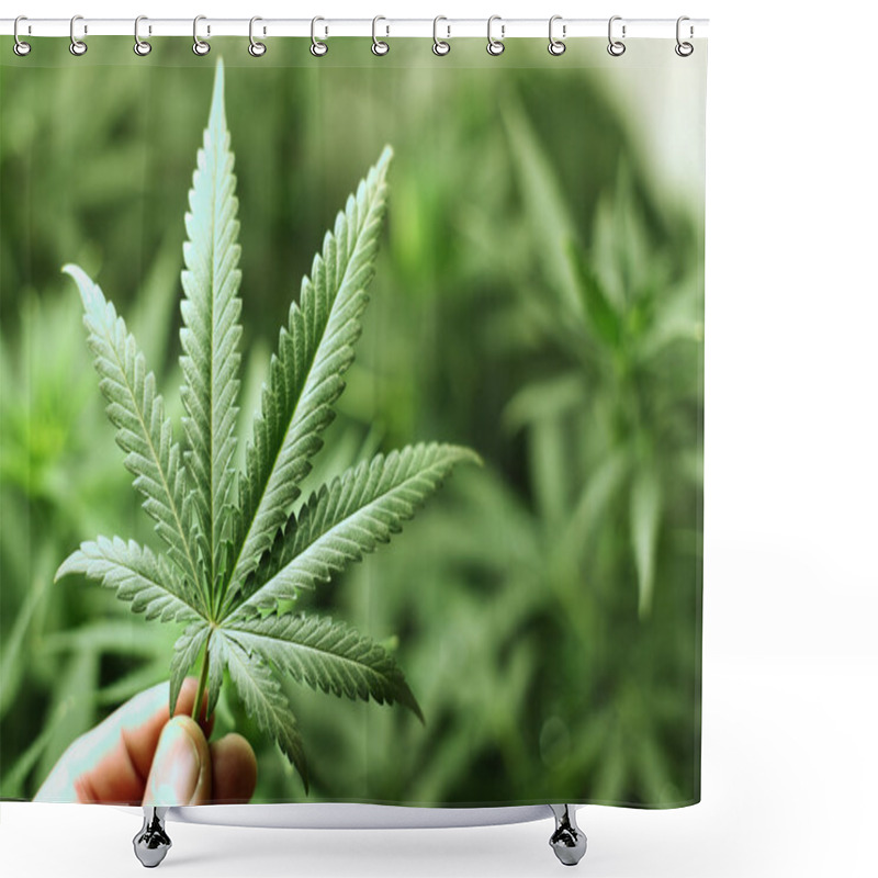 Personality  Cannabis Background Shower Curtains