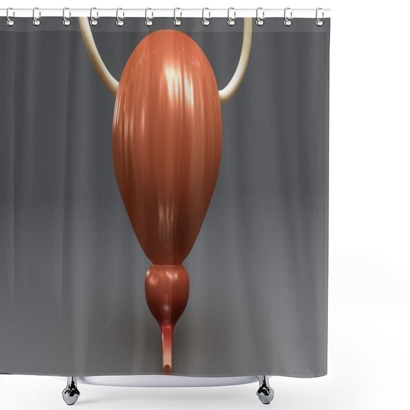 Personality  Urine Bladder Anatomy Shower Curtains