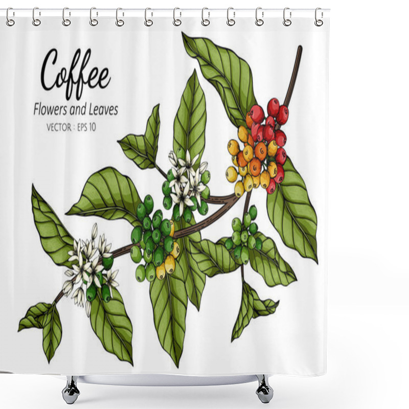 Personality  Coffee Flower And Leaf Drawing Illustration With Line Art On White Backgrounds. Shower Curtains