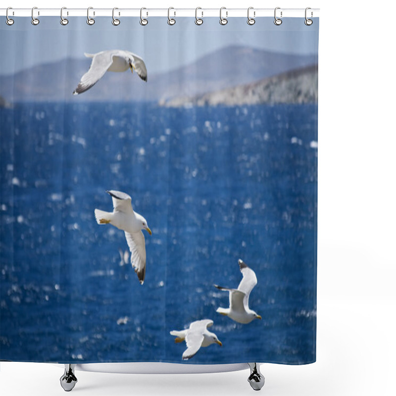 Personality  Flying Seagulls In The Coastline Of Greece Shower Curtains