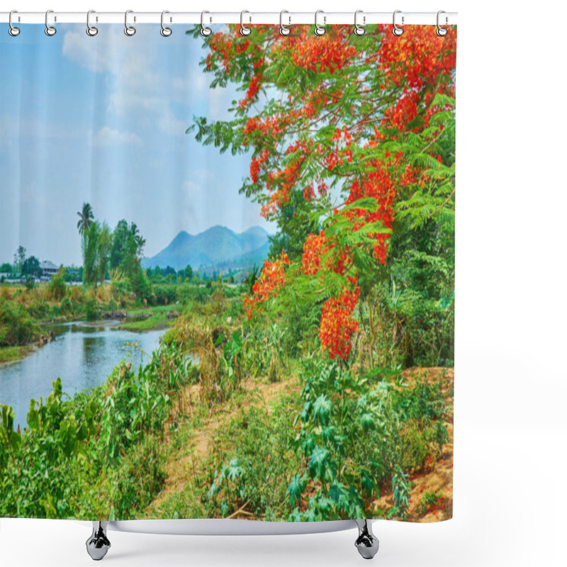 Personality  Blooming Flame Tree, Pai, Thailand Shower Curtains