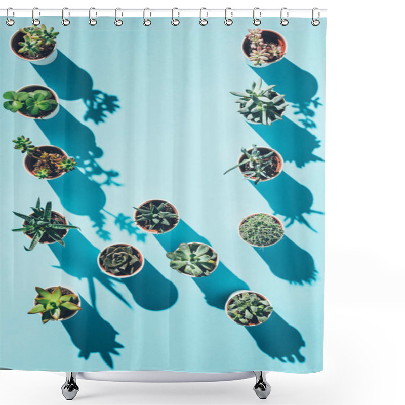 Personality  Top View Of Letter W Made From Green Potted Plants On Blue Shower Curtains