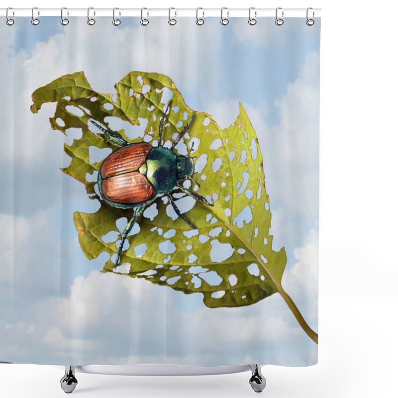 Personality  Japanese Beetle Damage As An Infestation Of An Invasive Species Insect Causing Damaged Plant And Agriculture Problems Or Garden Vegetables Pests In A 3D Illustration Style. Shower Curtains