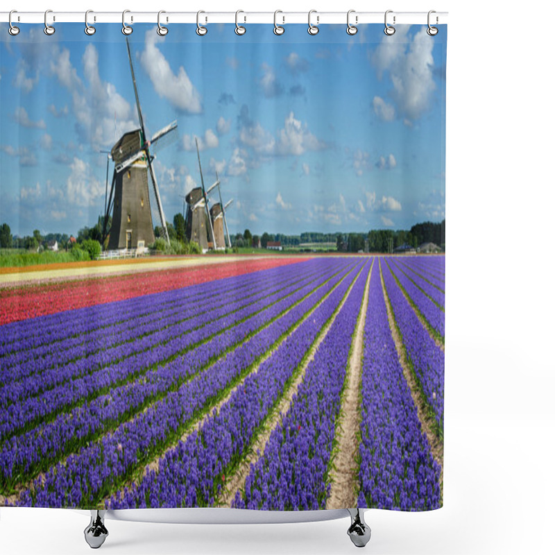 Personality  Flowers And Windmills In Holland Shower Curtains