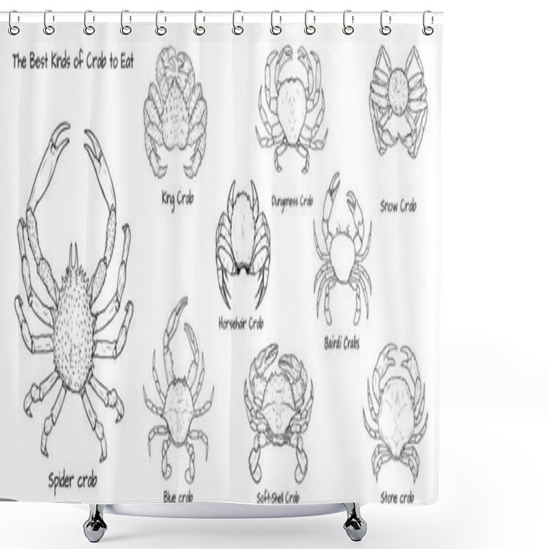 Personality  Set Of The Best Kinds Of Crab To Eat.Crab Vector By Hand Drawing.crab Silhouette On White Background.Horsehair Crab Art Highly Detailed In Line Art Style.Animal Pictures For Coloring. Shower Curtains