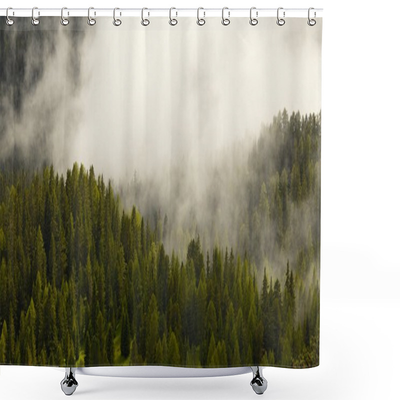 Personality  Foggy Forest Shower Curtains