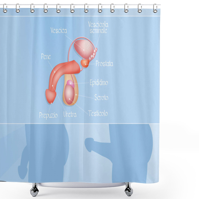 Personality  Male Reproductive System Shower Curtains