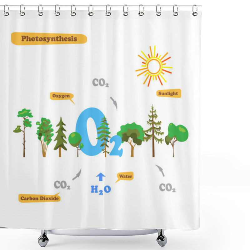 Personality  Image Of Photosynthesis Shower Curtains