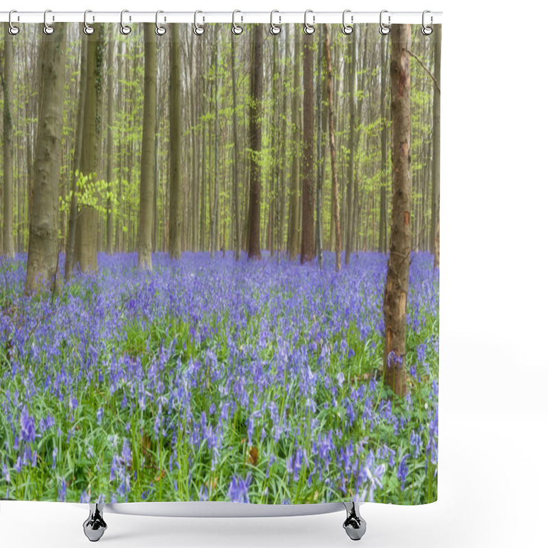 Personality  Wildflower Bluebells Forest Shower Curtains