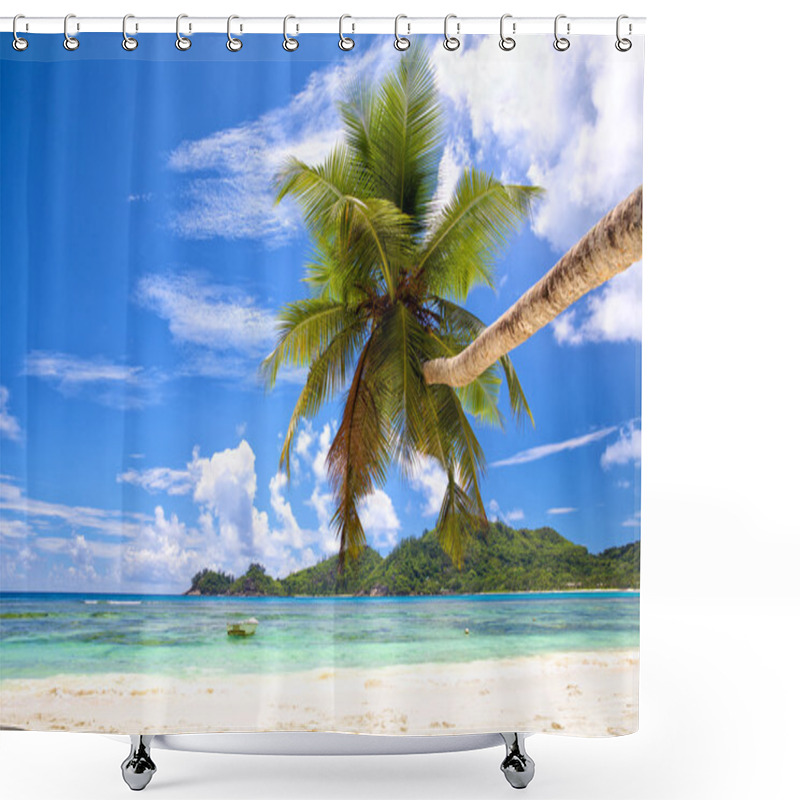 Personality  Palm Beach Shower Curtains