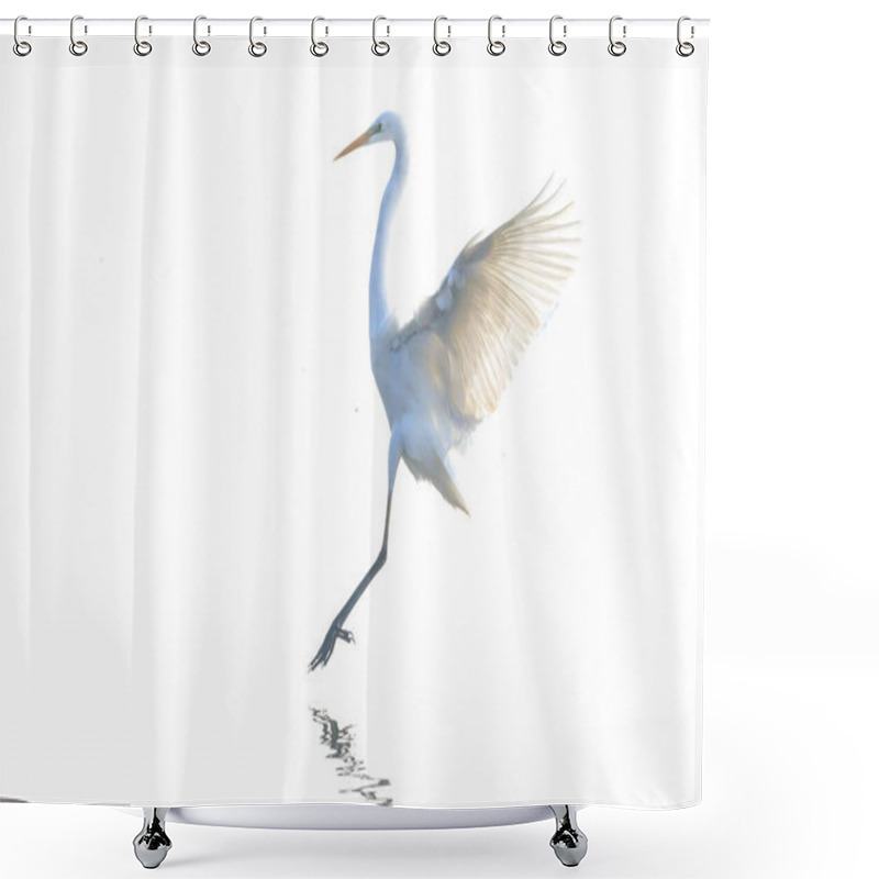 Personality  Winter Bird Of Junam Reservoir In Korea Shower Curtains