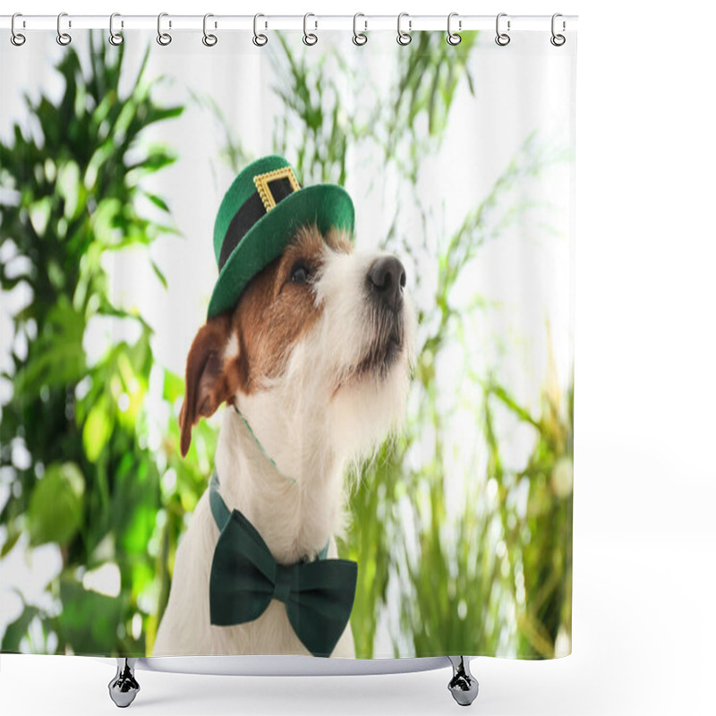 Personality  Jack Russell Terrier With Leprechaun Hat And Bow Tie Outdoors. St. Patrick's Day Shower Curtains