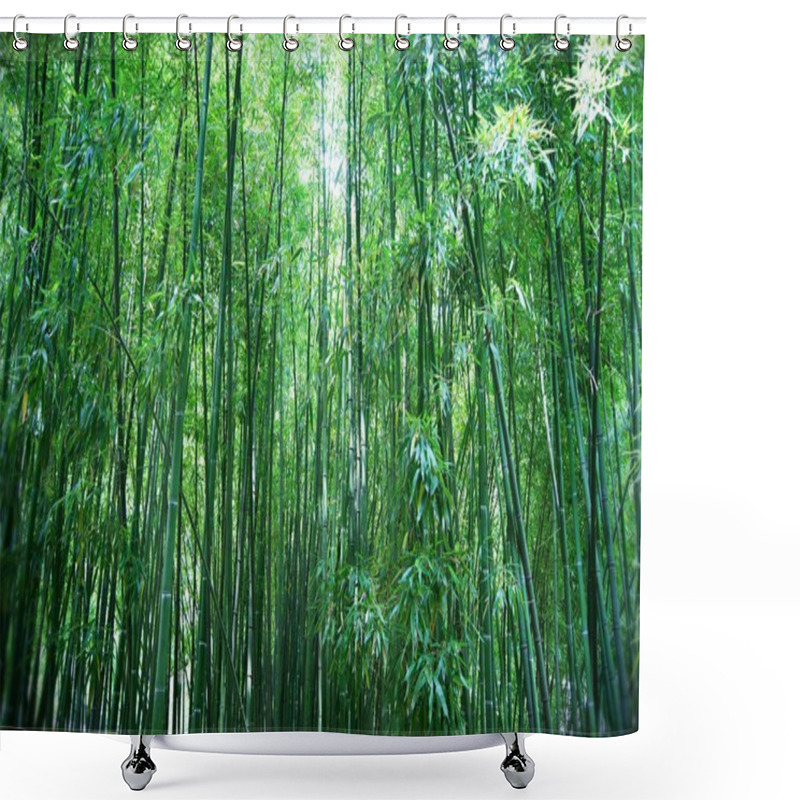 Personality  Asian Bamboo Forest Shower Curtains