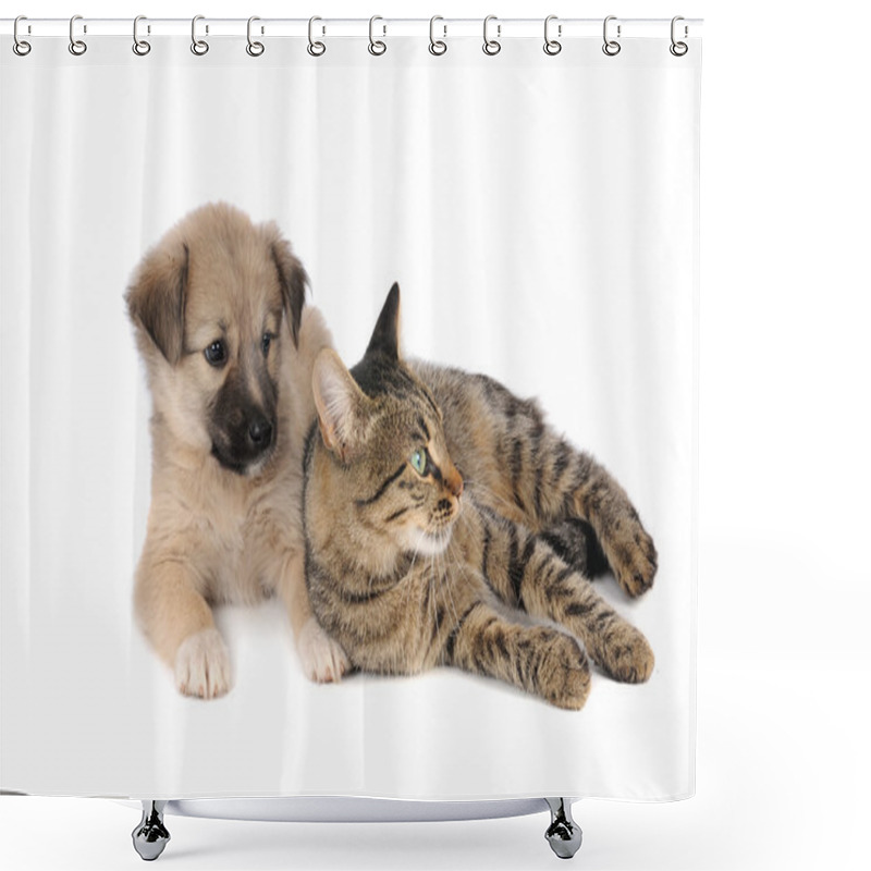 Personality  Cat And A Dog Shower Curtains