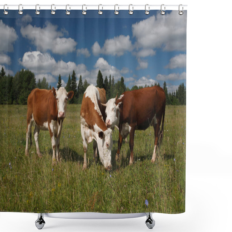 Personality  Cows On A Green Field With Woods In The Background Shower Curtains