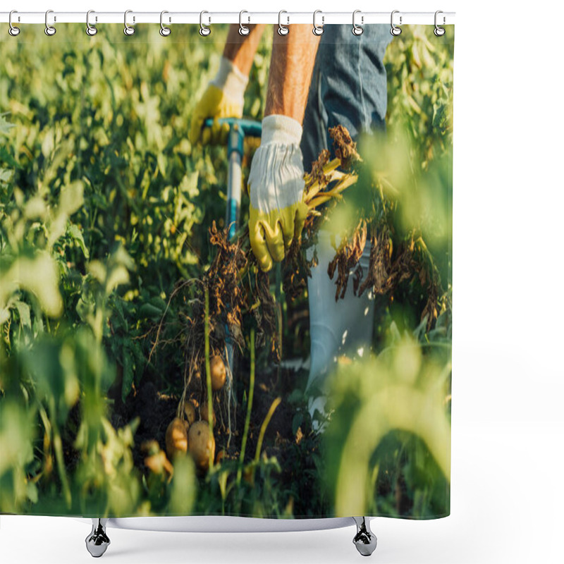 Personality  Cropped View Of Farmer In Work Gloves Digging Out Potato Plants With Tubers In Field Shower Curtains