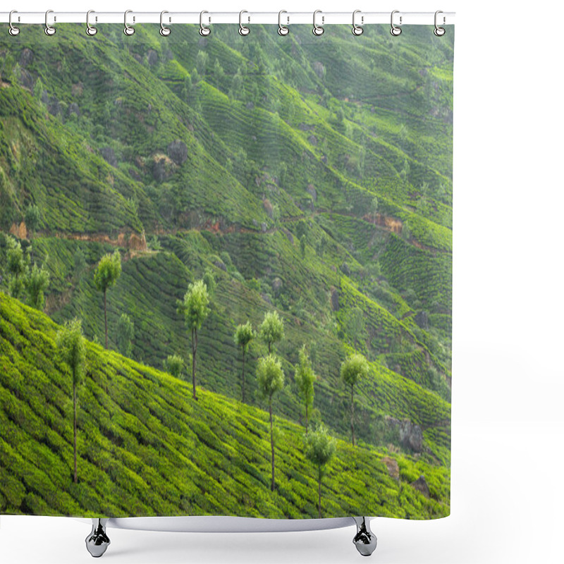 Personality  Tea Plantations In Munnar Shower Curtains